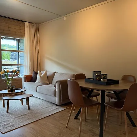 Geiloholtet Apartament