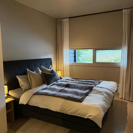Apartman Geiloholtet *
