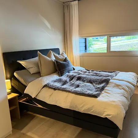 Apartman Geiloholtet *