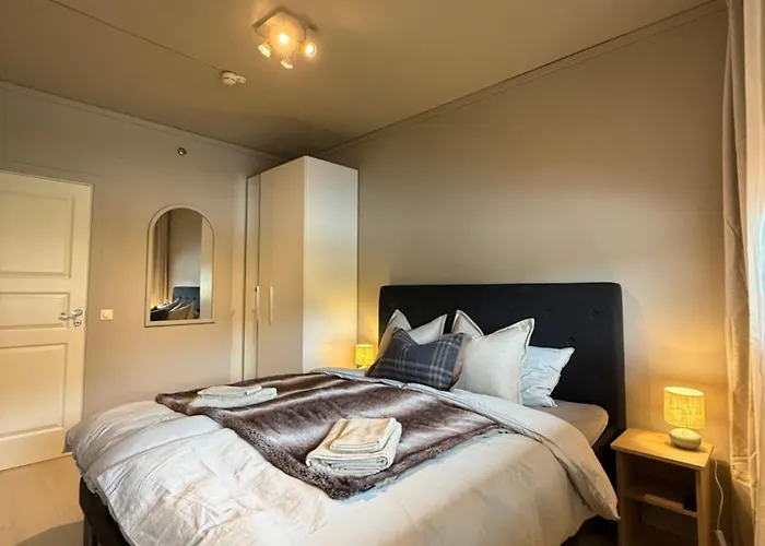 Apartament Geiloholtet *
