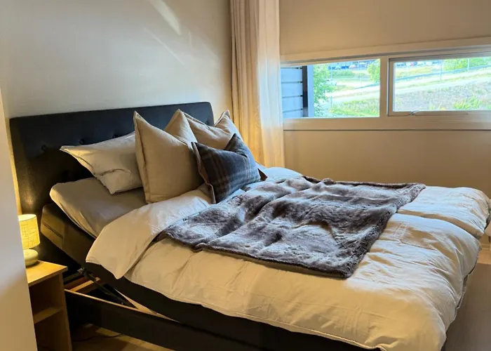 Apartament Geiloholtet *